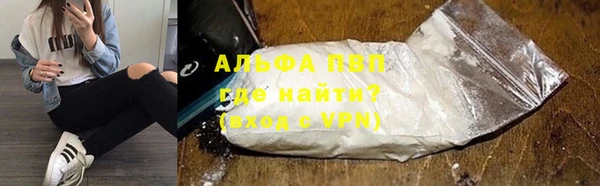 индика Аркадак