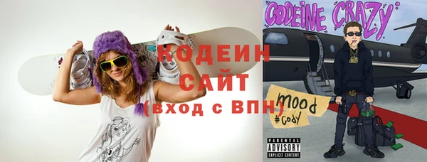 индика Аркадак