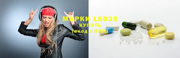 индика Аркадак